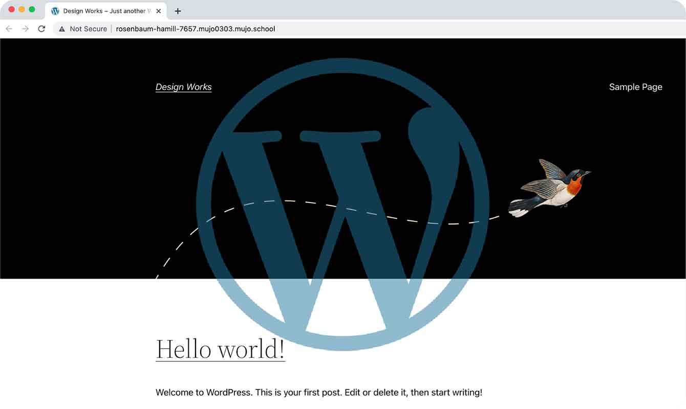 Hands-on projects with WordPress